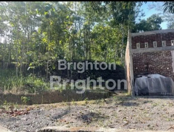 image TANAH STRATEGIS BAWEN, SHM, 5.200M² (2)