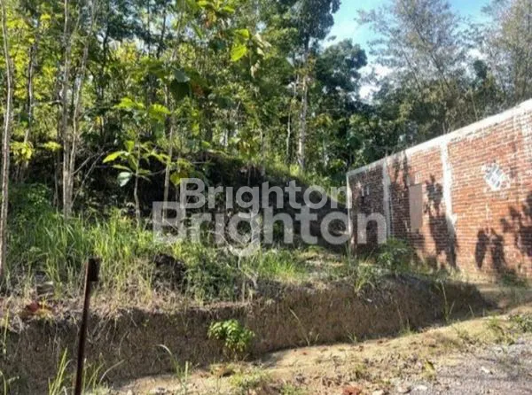 image TANAH STRATEGIS BAWEN, SHM, 5.200M² (4)