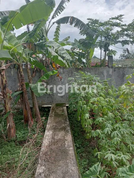 image JUAL TANAH, LOKASI NYAMAN DAN ASRI (8)