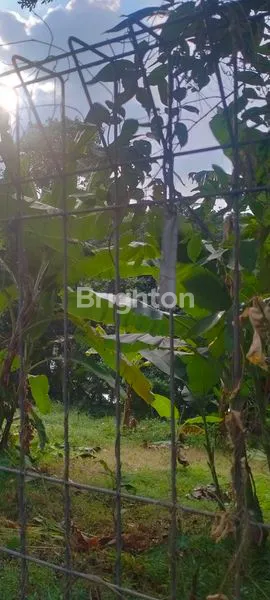 image DIJUAL TANAH DARAT SELUAS 4251 M2 , DEKAT DENGAN FASILITAS SEKOLAH..DIJALAN H.BAPING , SUSUKAN, CIRACAS, JAKARTA TIMUR (5)