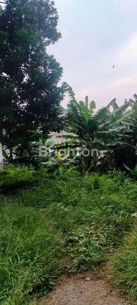 image DIJUAL TANAH DARAT SELUAS 4251 M2 , DEKAT DENGAN FASILITAS SEKOLAH..DIJALAN H.BAPING , SUSUKAN, CIRACAS, JAKARTA TIMUR (6)