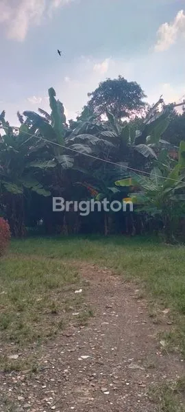 image DIJUAL TANAH DARAT SELUAS 4251 M2 , DEKAT DENGAN FASILITAS SEKOLAH..DIJALAN H.BAPING , SUSUKAN, CIRACAS, JAKARTA TIMUR (4)