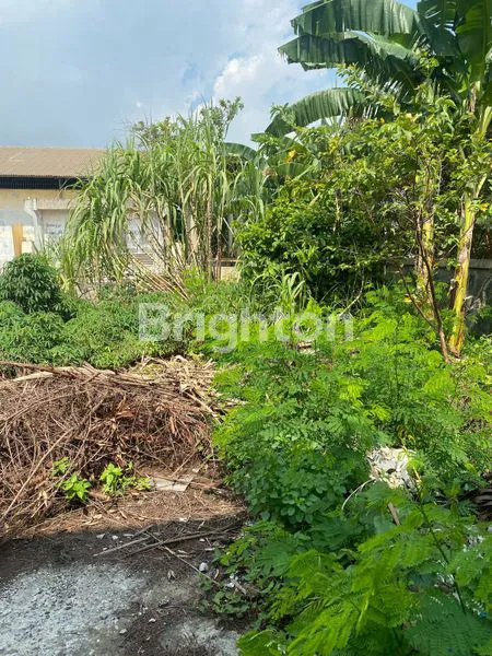 image GUDANG TANAH KOSONG LOKASI STRATEGIS, PINGGIR JALAN DAERAH KAPUK KAMAL RAYA, JAKARTA UTARA (8)