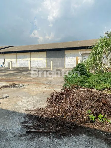 image GUDANG TANAH KOSONG LOKASI STRATEGIS, PINGGIR JALAN DAERAH KAPUK KAMAL RAYA, JAKARTA UTARA (6)