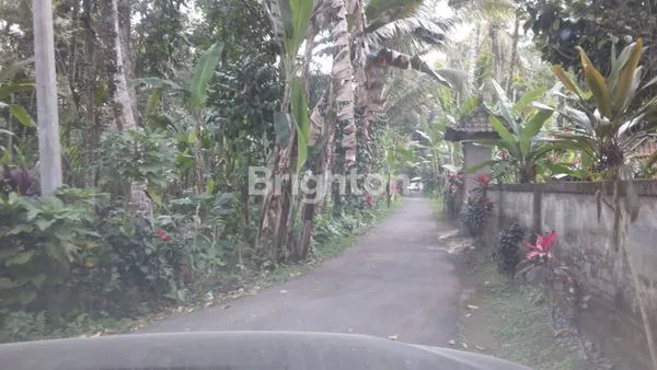 image DIJUAL TANAH PAYANGNGAN BUKIAN 3,1789H (3)