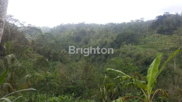 image DIJUAL TANAH PAYANGNGAN BUKIAN 3,1789H (7)