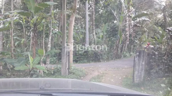 image DIJUAL TANAH PAYANGNGAN BUKIAN 3,1789H (4)