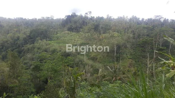 image DIJUAL TANAH PAYANGNGAN BUKIAN 3,1789H (5)