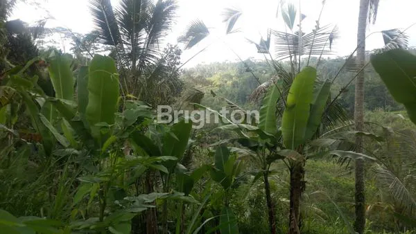 image DIJUAL TANAH PAYANGNGAN BUKIAN 3,1789H (6)