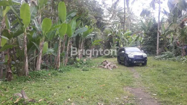 image DIJUAL TANAH PAYANGNGAN BUKIAN 3,1789H (8)