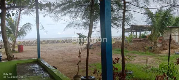 image TANAH MERUPAKAN INVESTASI YANG MENGUNTUNGKAN (1)