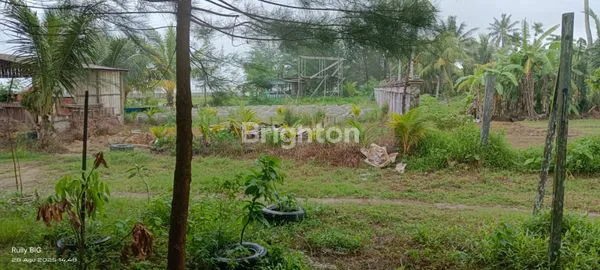 image TANAH MERUPAKAN INVESTASI YANG MENGUNTUNGKAN (2)