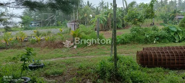 image TANAH MERUPAKAN INVESTASI YANG MENGUNTUNGKAN (3)