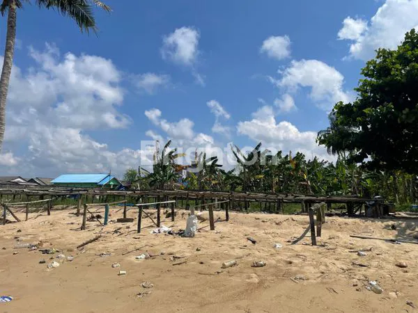 image TANAH PESISIR MANGGAR (1)