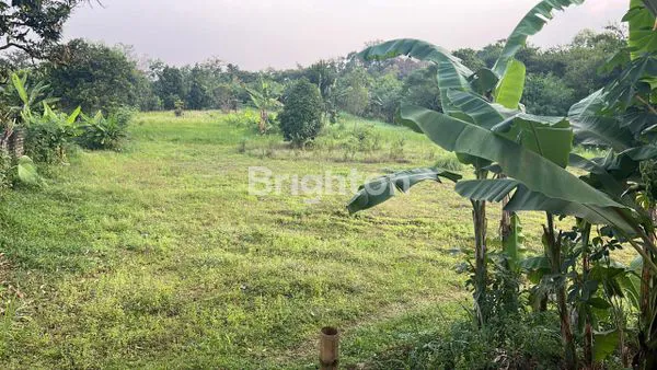 image LAHAN STRATEGIS 10 HA, AKSES MUDAH, SHM (4)