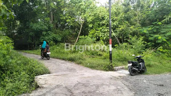 image TANAH PEKARANGAN STRATEGIS SELATAN KAMPUS UMY (5)