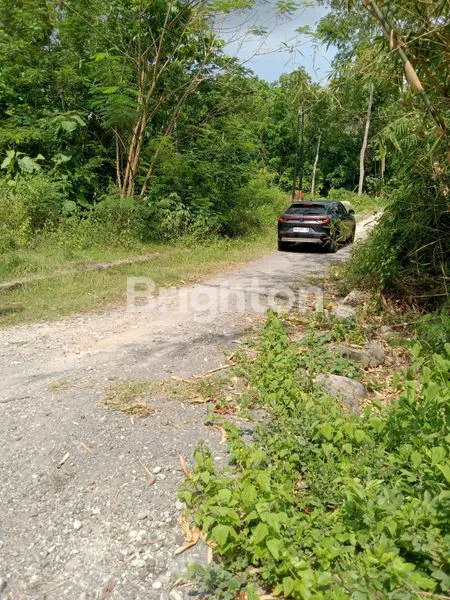 image TANAH PEKARANGAN STRATEGIS SELATAN KAMPUS UMY (2)