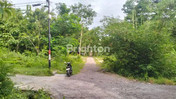 image TANAH PEKARANGAN STRATEGIS SELATAN KAMPUS UMY (4)