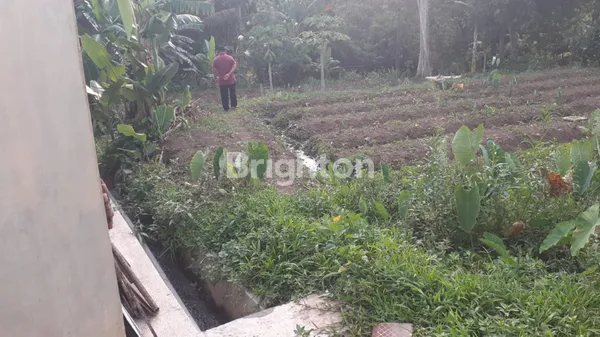 image TANAH BELAKANG UMM TLOGOMAS STRATEGIS (3)