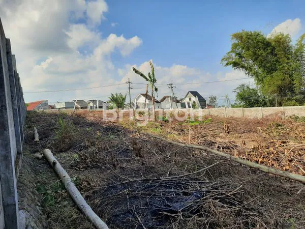 image TANAH SUMBER SEKAR DAU MALANG (2)