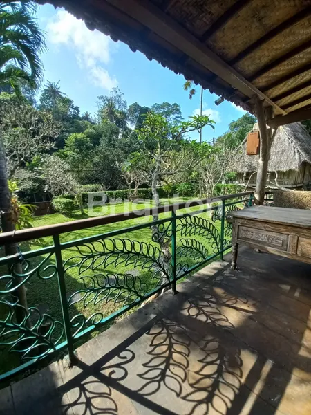 image DISEWAKAN RUMAH VILLA NUANSA PEDESAAN DI ABIANSEMAL (5)