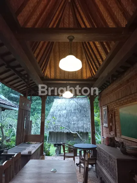 image DISEWAKAN RUMAH VILLA NUANSA PEDESAAN DI ABIANSEMAL (7)