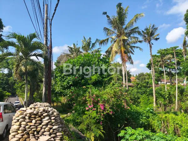 image LAHAN VIEW SUNGAI EKSOTIS DEKAT BALI ZOO & UBUD – COCOK UNTUK VILLA IMPIAN! (1)