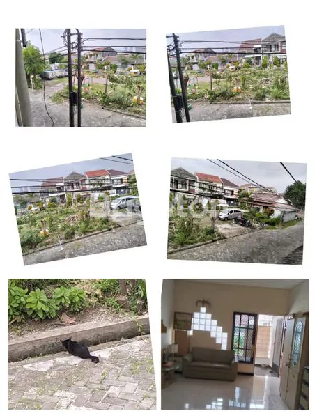 image JARANG ADA RUKO MULYOSARI TEMBUS KE RUMAH BELAKANG  (1)