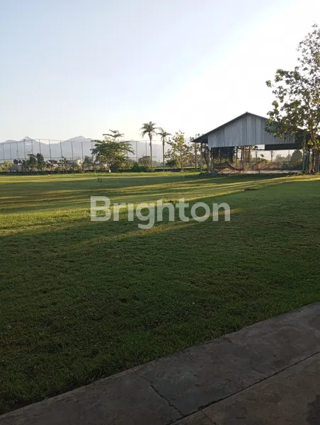 image TANAH PREMIUM AREA LOMBOK COCOK BUAT BISNIS, NEGO SAMPAI LAKU (5)