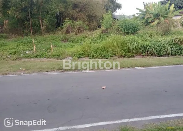 image TANAH STRATEGIS DI GONDANGREJO, DEKAT TOL & KAMPUS (1)