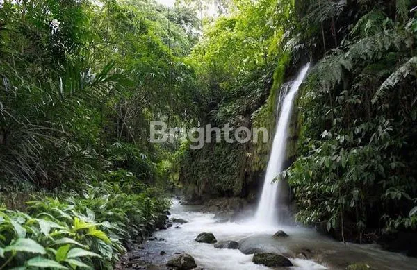 image VILLA LEASE HOLD DEKAT UBUD (2)