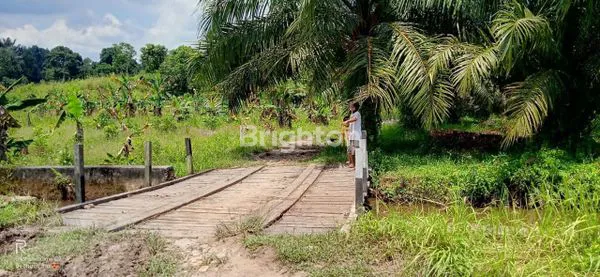 image DIJUAL TANAH STRATEGIS DAERAH NENANG (4)