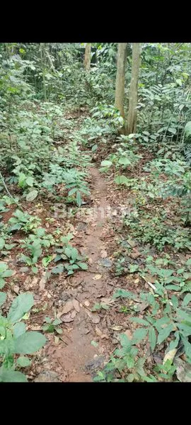 image TANAH SIAP BANGUN CUKANGGALIH (3)