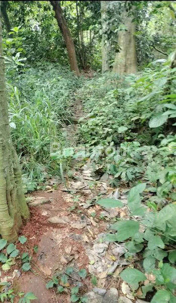 image TANAH SIAP BANGUN CUKANGGALIH (4)