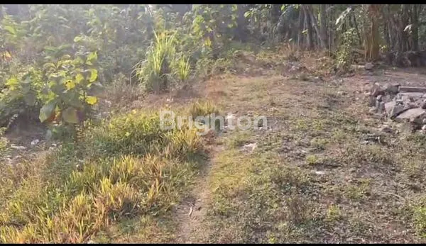 image TANAH LUAS 2.322M² DI BOYOLALI (2)