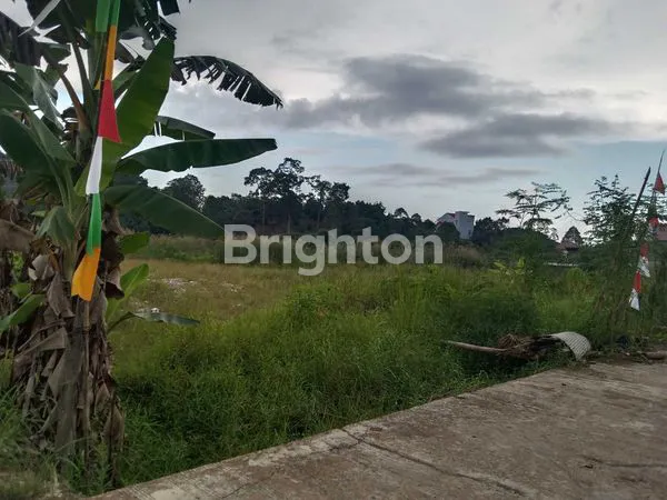 image TANAH KAVLINGAN ALAMANDA  (2)