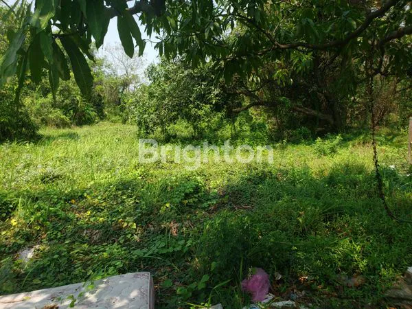 image TANAH GRESIK DEKAT AKSES TOL (3)