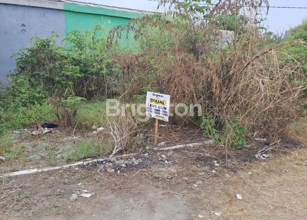 image TANAH JOMBANG (1)