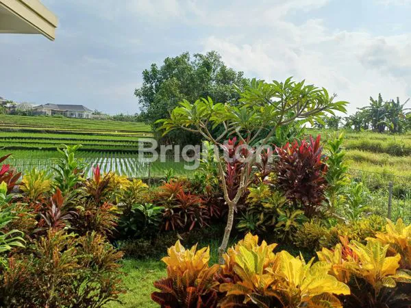 image RUMAH VIEW SAWAH  FULL FURNISHED DEKAT PANTAI MENGENING (2)