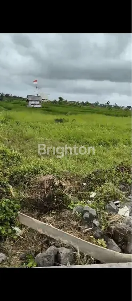 image LAND FOR SALE – CEMAGI, MENGWI (1)