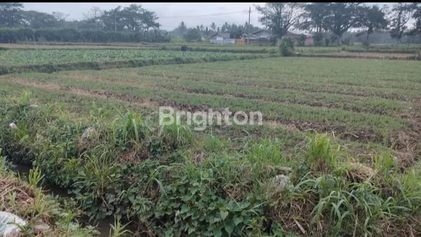 image TANAH DIJUAL DI JL.RAYA KEDUNG REJO PAKIS  (1)