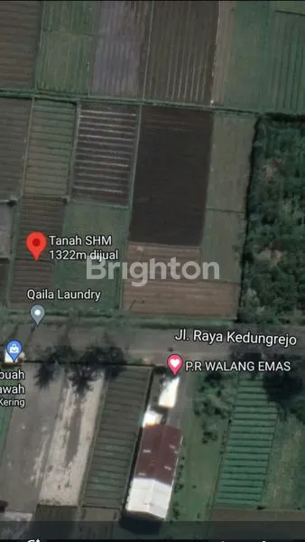 image TANAH DIJUAL DI JL.RAYA KEDUNG REJO PAKIS  (3)