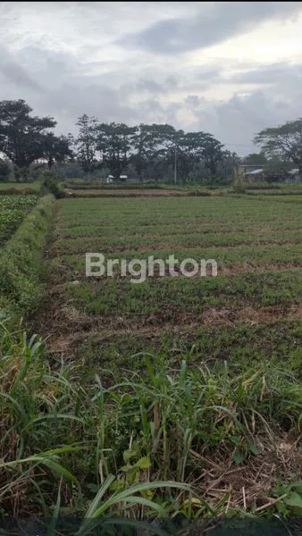 image TANAH DIJUAL DI JL.RAYA KEDUNG REJO PAKIS  (2)