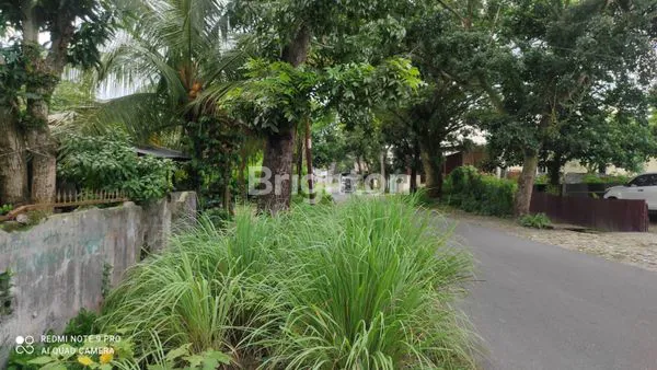 image RUMAH LAMA SANGAT LUAS (2)