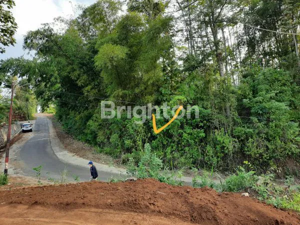 image TANAH MURAH DALISODO MALANG !!! (1)