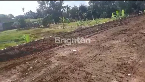 image DIJUAL TANAH DI NYITDAH 11,56 ARE (2)