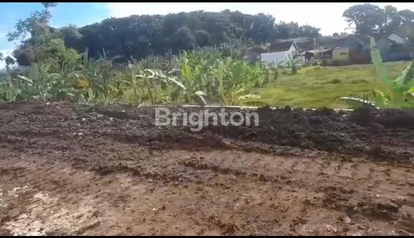 DIJUAL TANAH DI NYITDAH 11,56 ARE