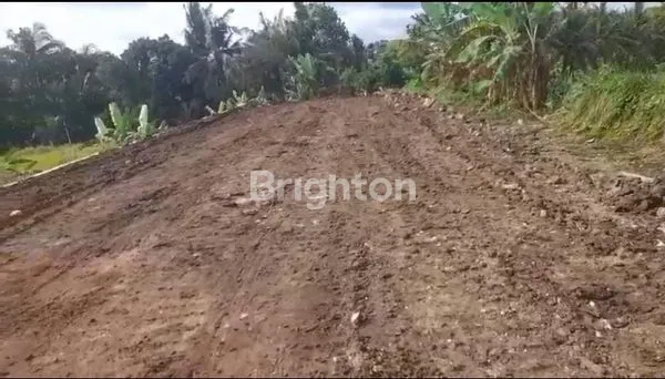 image DIJUAL TANAH DI NYITDAH 11,56 ARE (3)