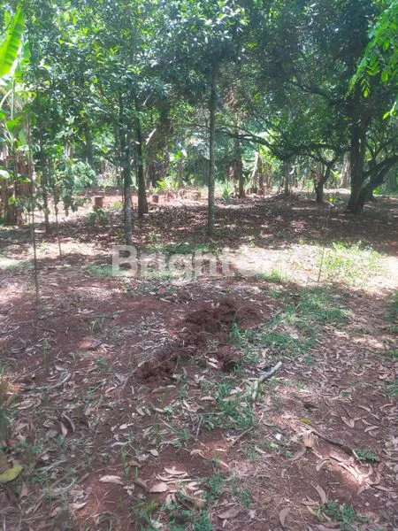 image KAVLING SIAP BANGUN – LOKASI STRATEGIS DI AWIRARANGAN, TAMAN SARI SETU – BEKASI  (1)