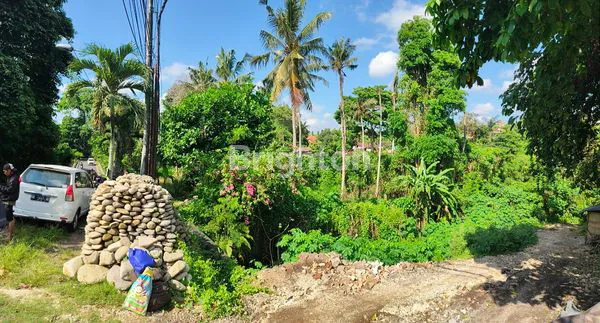 image LAHAN VIEW SUNGAI DEKAT BALI ZOO & UBUD – COCOK UNTUK VILLA (2)